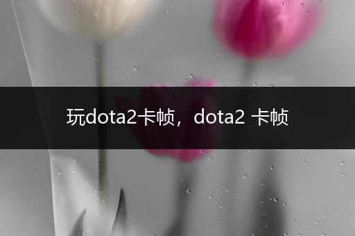 玩dota2卡帧，dota2 卡帧