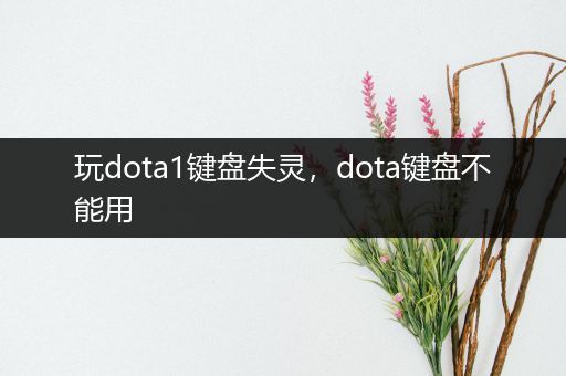 玩dota1键盘失灵，dota键盘不能用