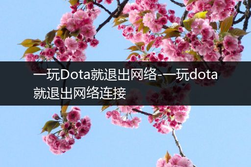 一玩Dota就退出网络-一玩dota就退出网络连接