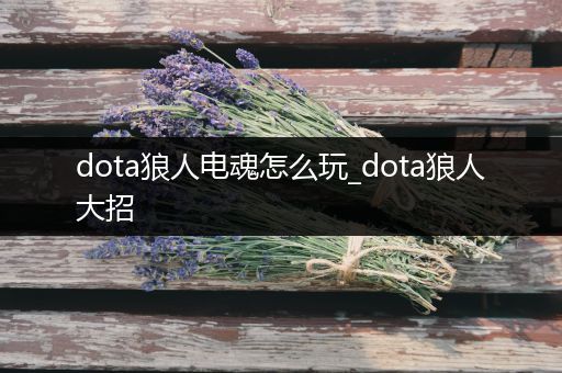 dota狼人电魂怎么玩_dota狼人大招