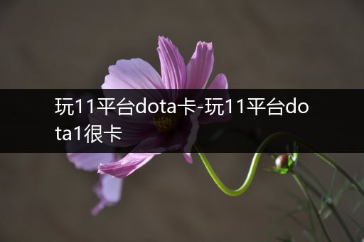 玩11平台dota卡-玩11平台dota1很卡