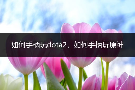 如何手柄玩dota2，如何手柄玩原神