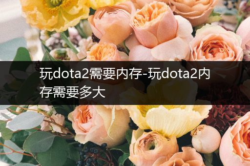 玩dota2需要内存-玩dota2内存需要多大