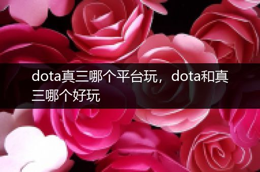 dota真三哪个平台玩，dota和真三哪个好玩