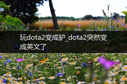 玩dota2变成驴_dota2突然变成英文了