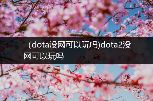 （dota没网可以玩吗)dota2没网可以玩吗