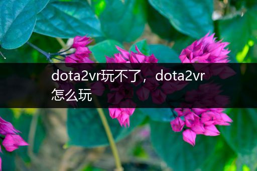 dota2vr玩不了，dota2vr怎么玩
