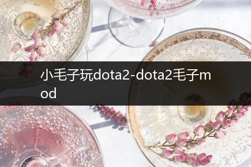 小毛子玩dota2-dota2毛子mod