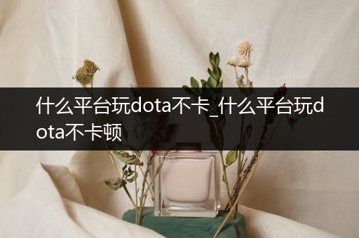 什么平台玩dota不卡_什么平台玩dota不卡顿