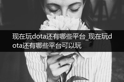 现在玩dota还有哪些平台_现在玩dota还有哪些平台可以玩