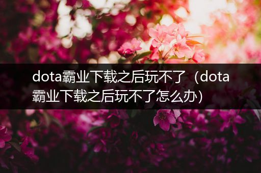 dota霸业下载之后玩不了（dota霸业下载之后玩不了怎么办）