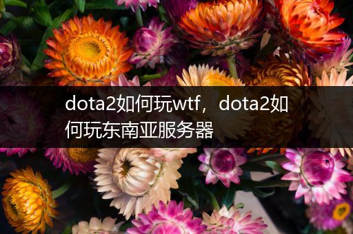 dota2如何玩wtf，dota2如何玩东南亚服务器