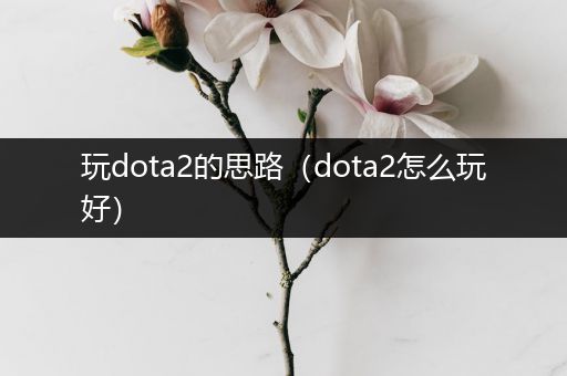 玩dota2的思路（dota2怎么玩好）