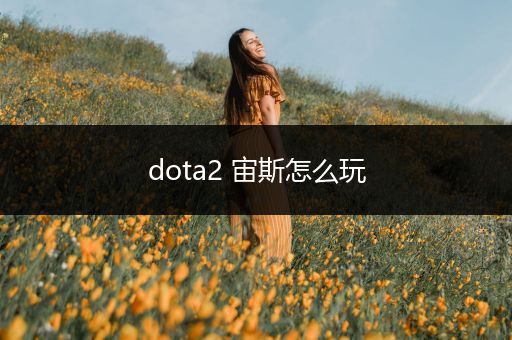 dota2 宙斯怎么玩