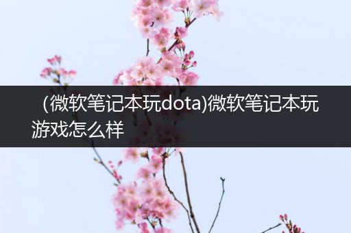 （微软笔记本玩dota)微软笔记本玩游戏怎么样