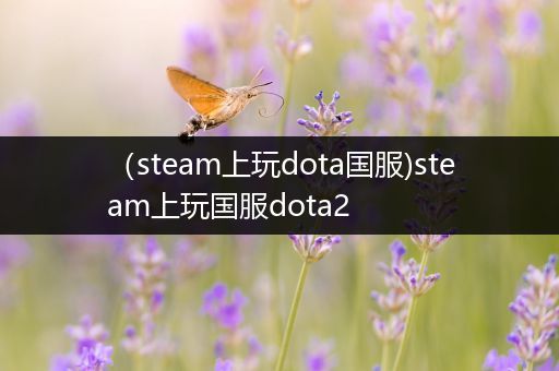 （steam上玩dota国服)steam上玩国服dota2