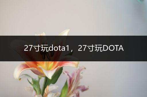 27寸玩dota1，27寸玩DOTA