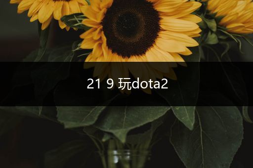 21 9 玩dota2