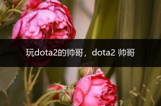 玩dota2的帅哥，dota2 帅哥