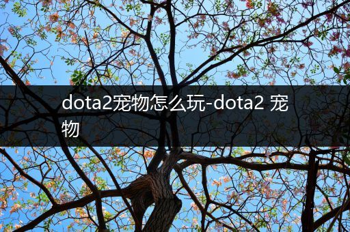 dota2宠物怎么玩-dota2 宠物