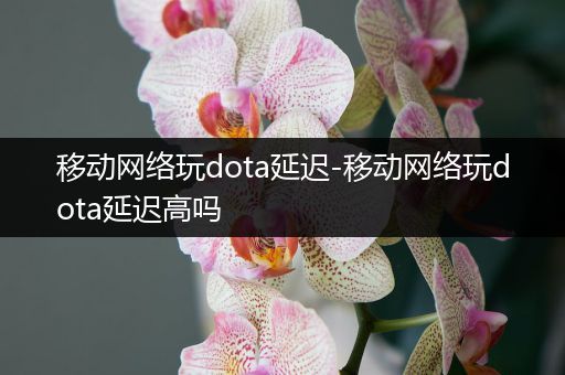 移动网络玩dota延迟-移动网络玩dota延迟高吗