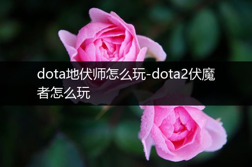 dota地伏师怎么玩-dota2伏魔者怎么玩