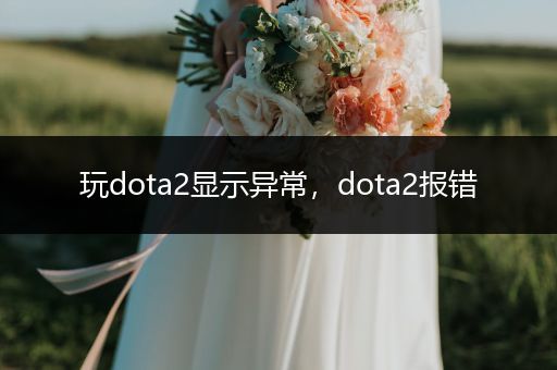 玩dota2显示异常，dota2报错