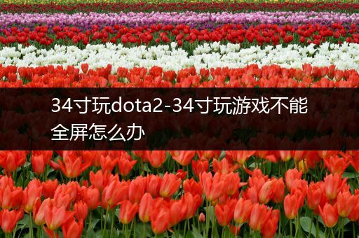 34寸玩dota2-34寸玩游戏不能全屏怎么办