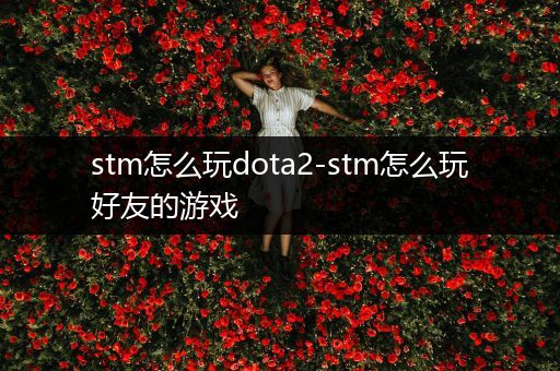 stm怎么玩dota2-stm怎么玩好友的游戏