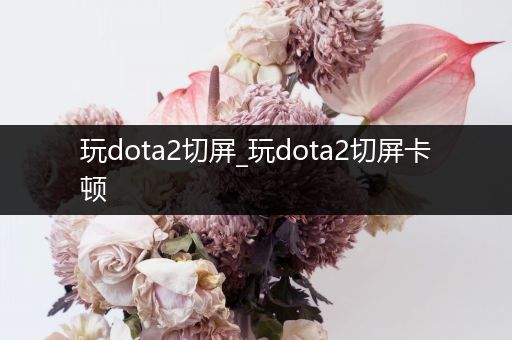 玩dota2切屏_玩dota2切屏卡顿