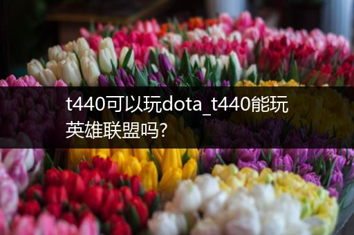 t440可以玩dota_t440能玩英雄联盟吗?