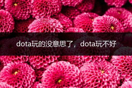 dota玩的没意思了，dota玩不好