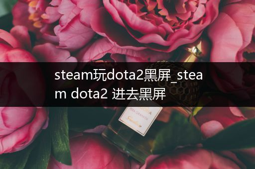 steam玩dota2黑屏_steam dota2 进去黑屏