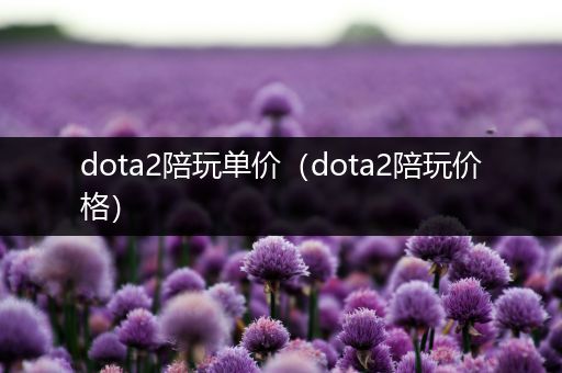 dota2陪玩单价（dota2陪玩价格）