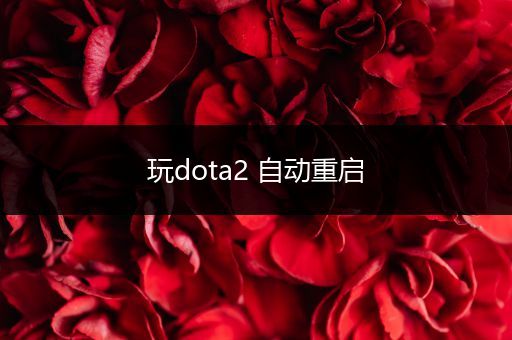 玩dota2 自动重启