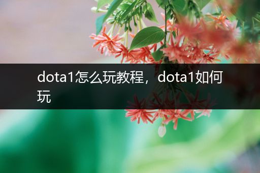 dota1怎么玩教程，dota1如何玩