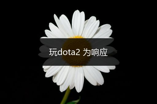 玩dota2 为响应