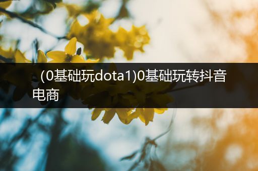 （0基础玩dota1)0基础玩转抖音电商