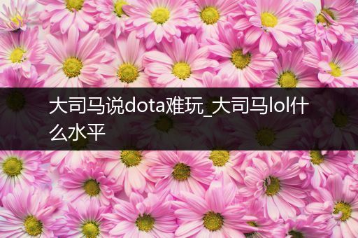 大司马说dota难玩_大司马lol什么水平