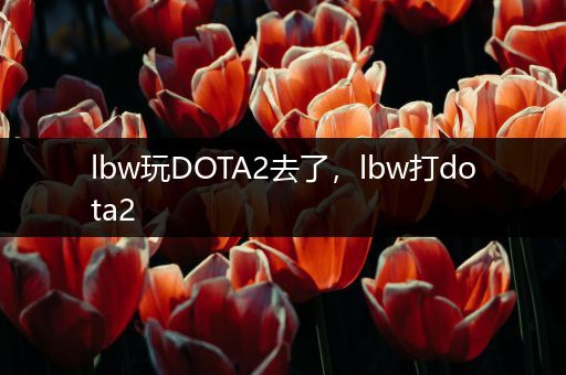 lbw玩DOTA2去了，lbw打dota2