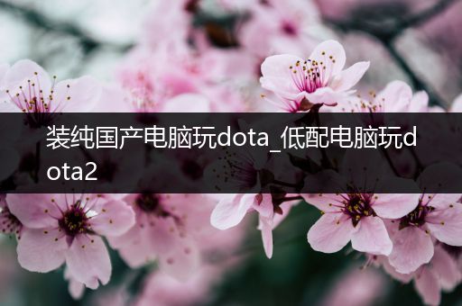 装纯国产电脑玩dota_低配电脑玩dota2