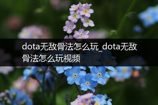 dota无敌骨法怎么玩_dota无敌骨法怎么玩视频