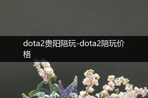 dota2贵阳陪玩-dota2陪玩价格