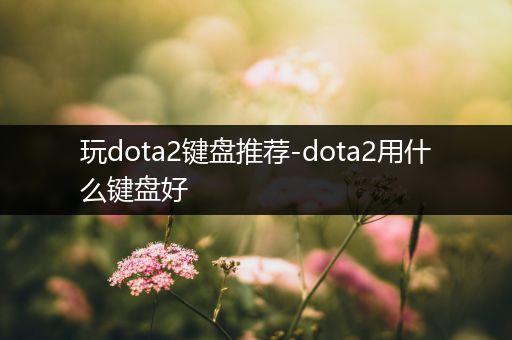 玩dota2键盘推荐-dota2用什么键盘好