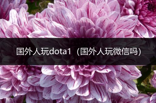 国外人玩dota1（国外人玩微信吗）