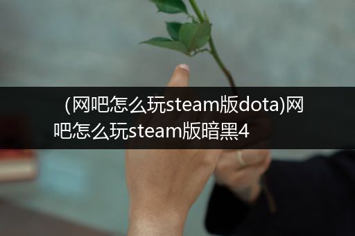 （网吧怎么玩steam版dota)网吧怎么玩steam版暗黑4