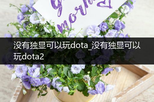 没有独显可以玩dota_没有独显可以玩dota2