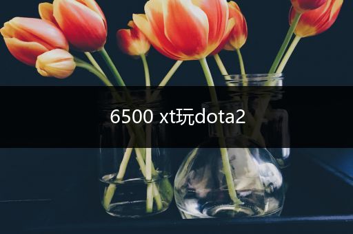 6500 xt玩dota2