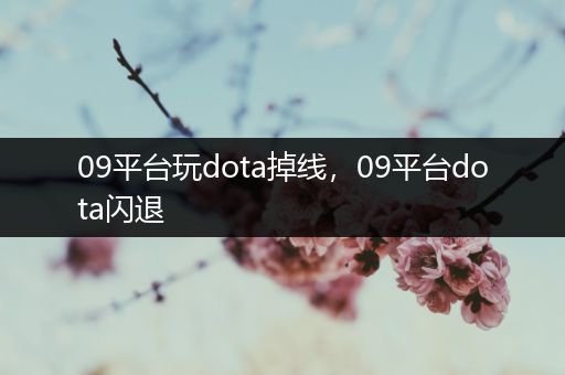 09平台玩dota掉线，09平台dota闪退