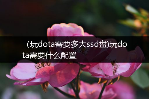 （玩dota需要多大ssd盘)玩dota需要什么配置